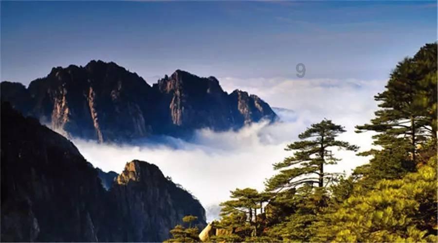 冬糖怎么熬制?知识星球平台,全面深入了解冬糖怎么熬制?